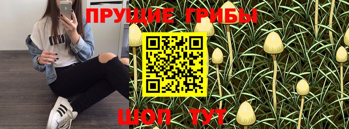 Галлюциногенные грибы Cubensis  купить наркотики цена  Качканар  Вход с VPN 